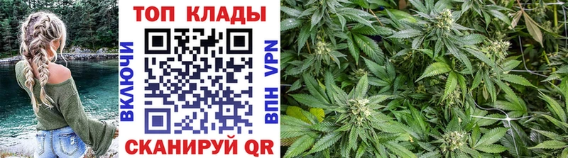Где купить наркотики Куса МАРИХУАНА  A-PVP  Гашиш  МЕФ 