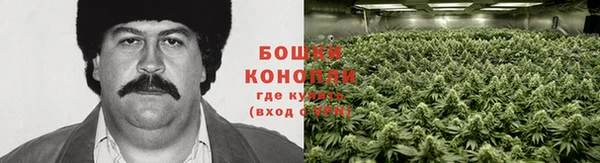 гашиш Арсеньев