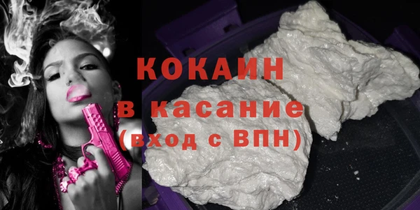 твердый Алексеевка