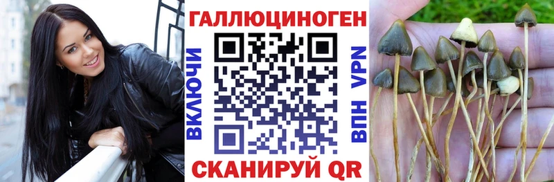 mega ссылки  Куса  Галлюциногенные грибы MAGIC MUSHROOMS 